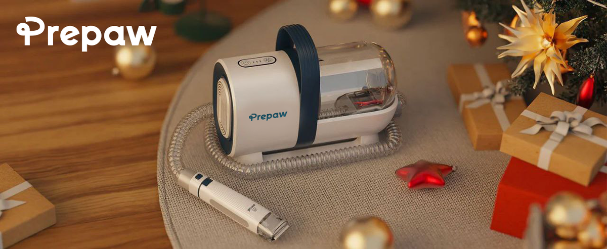 Transform Your Pet Grooming Routine with Innovative Tools