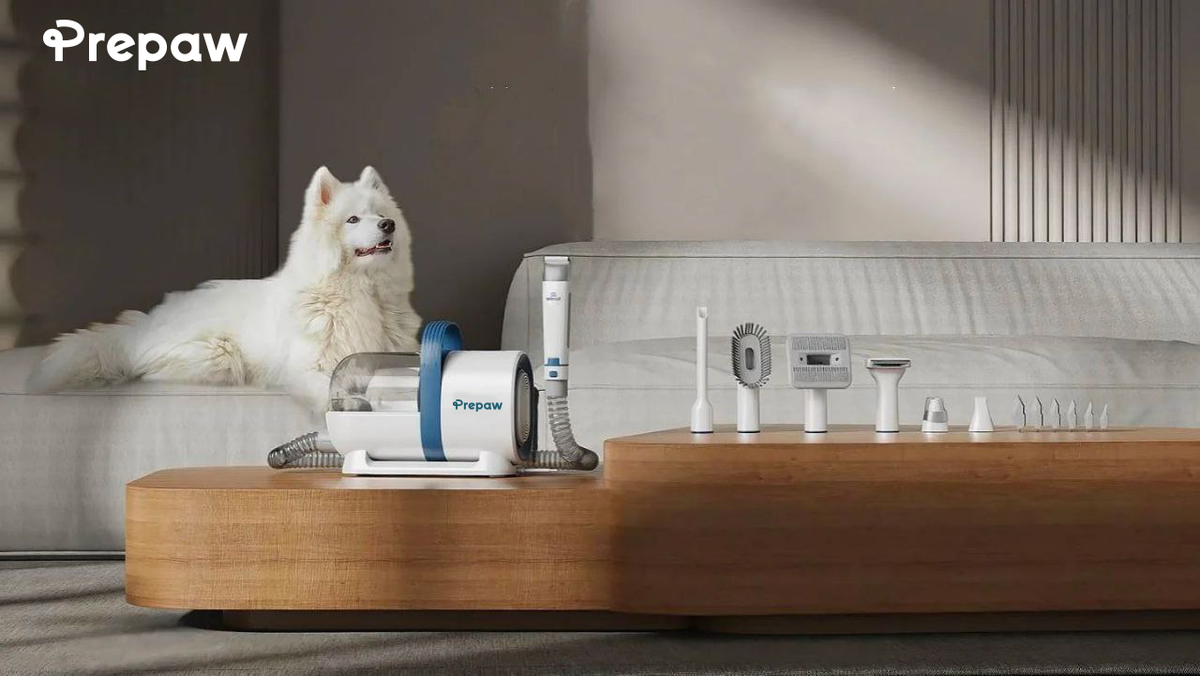 The Ultimate Guide to At-Home Dog Grooming: Tips and Tricks for a Healthy Coat