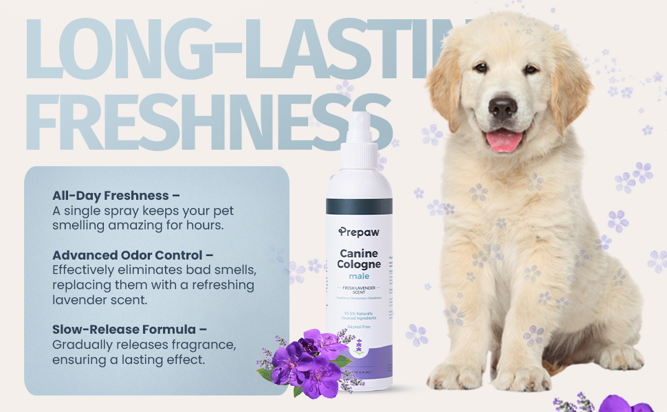 Male Pet Cologne - 8 oz-Lavender
